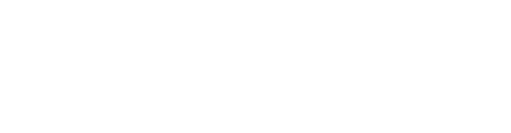 Logo Play2Gether weiß